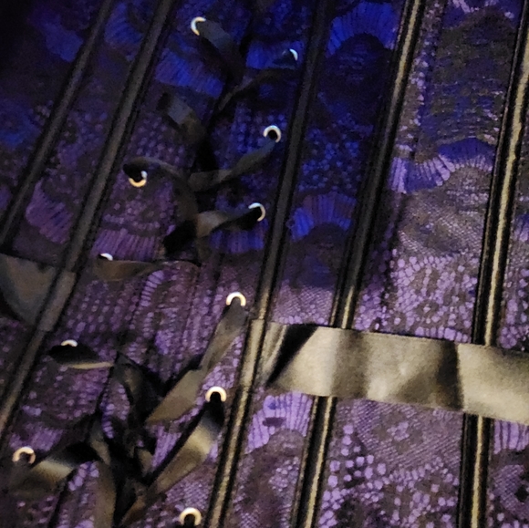 Nwot Lingerie Corset Bustier Bone In Hookeye Garters Large - Picture 5 of 6